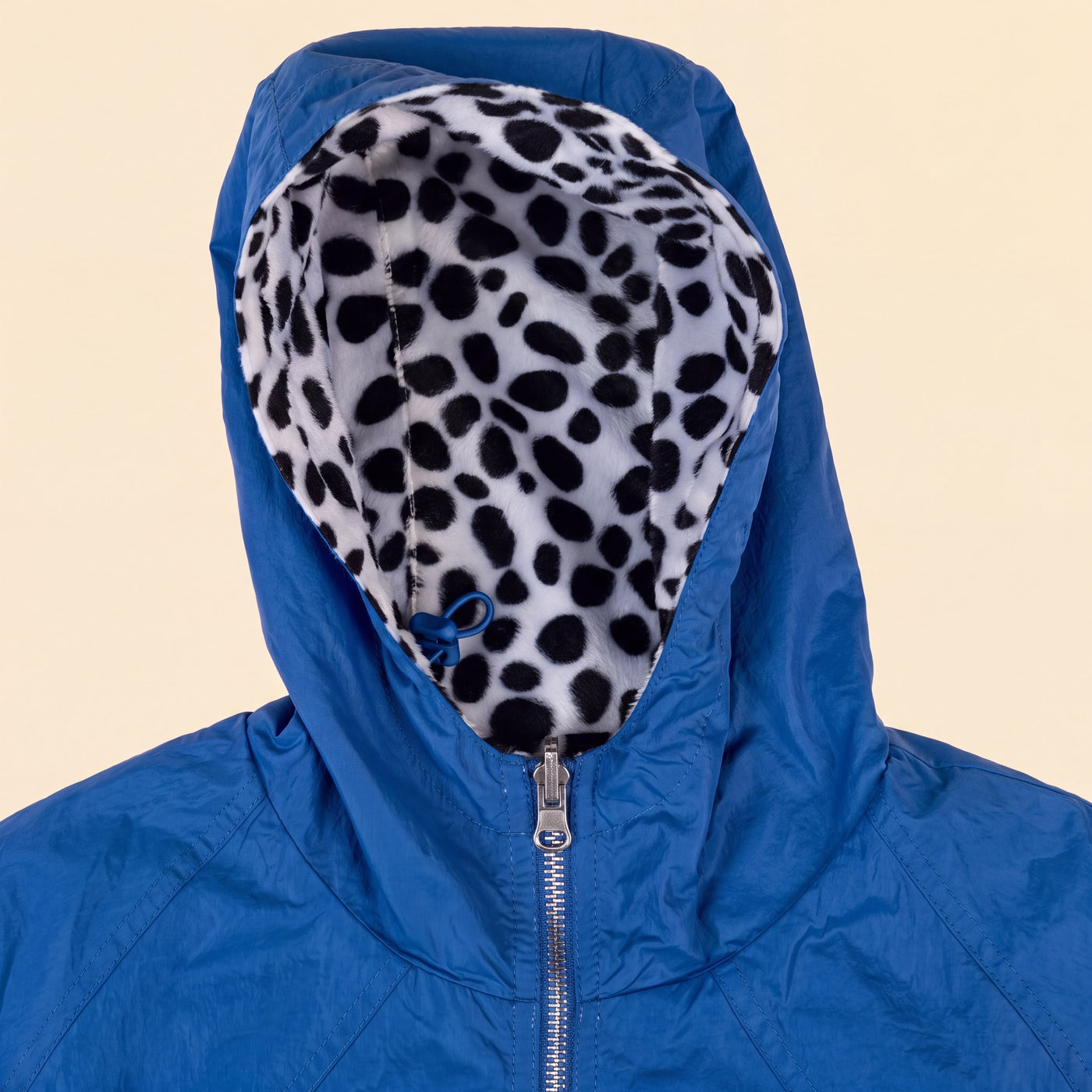 Reverse Spot